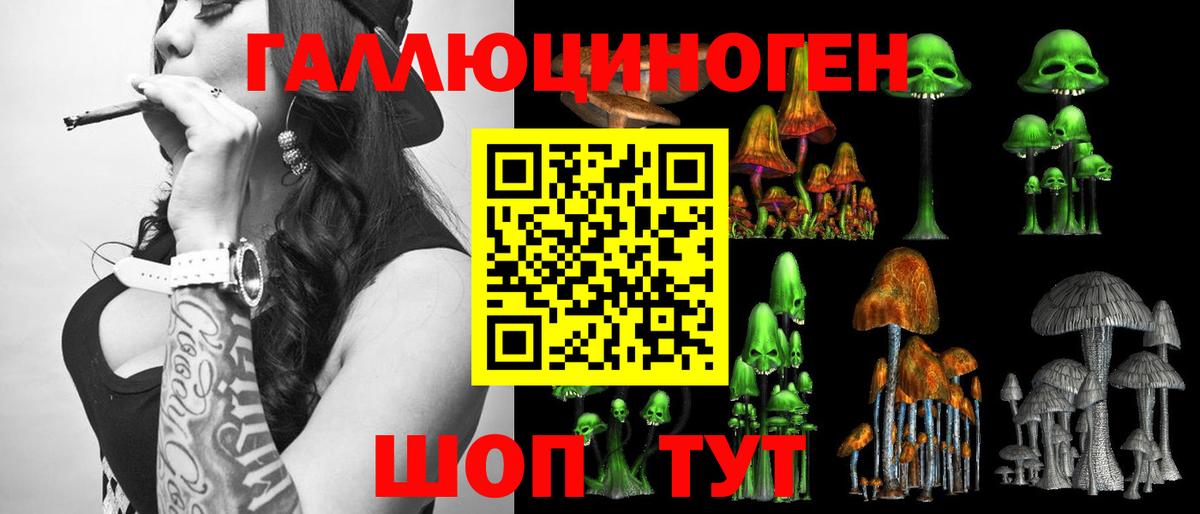 где купить наркоту  Псилоцибиновые грибы Psilocybe  Вход с VPN  Омск 